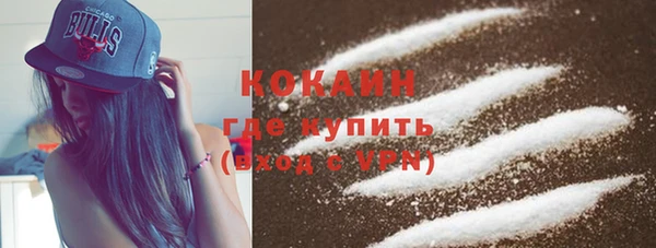 тгк Гусев