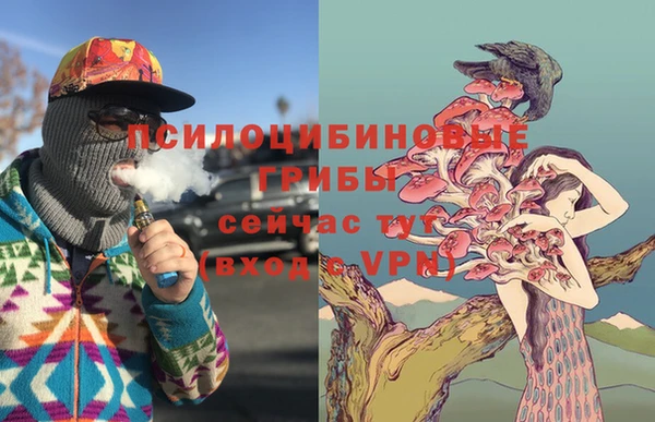 тгк Гусев