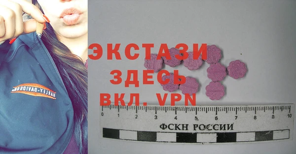 тгк Гусев