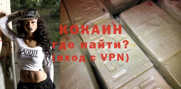 тгк Гусев