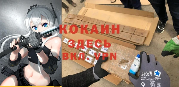 тгк Гусев