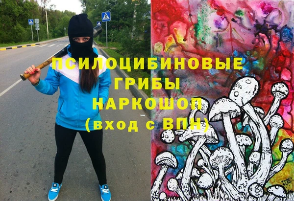 марки nbome Гусь-Хрустальный