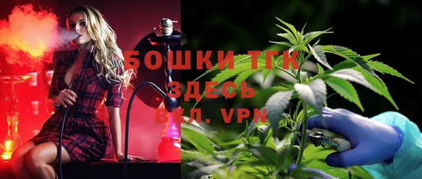 тгк Гусев