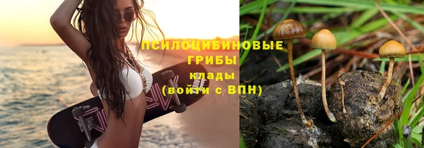 прущий лед Гусиноозёрск