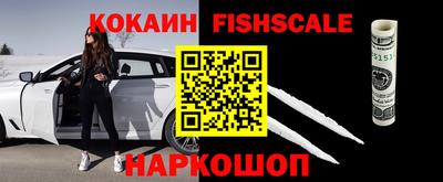 гашик Гусь-Хрустальный