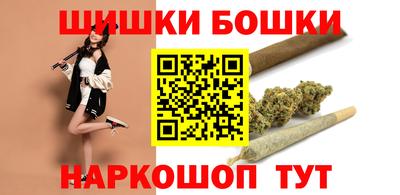 индика Гусев