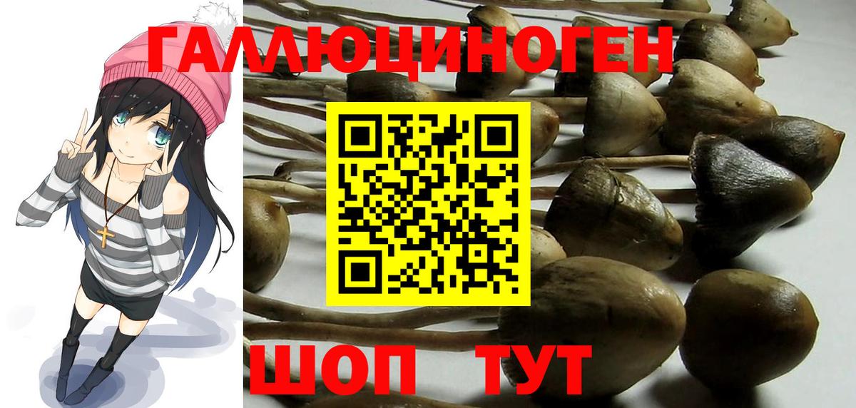 Псилоцибиновые грибы Psilocybine cubensis Ирбит