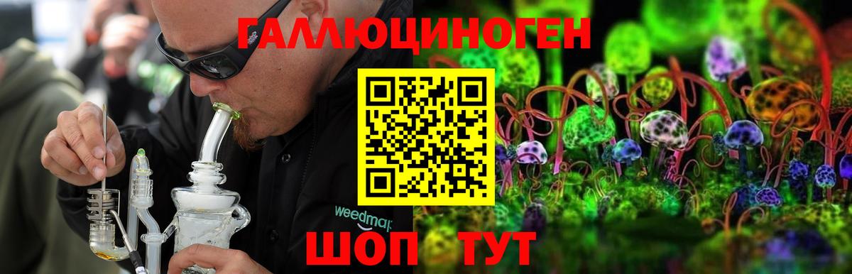 Галлюциногенные грибы прущие грибы  Псилоцибиновые грибы Psilocybe  Вход с VPN  Ирбит 